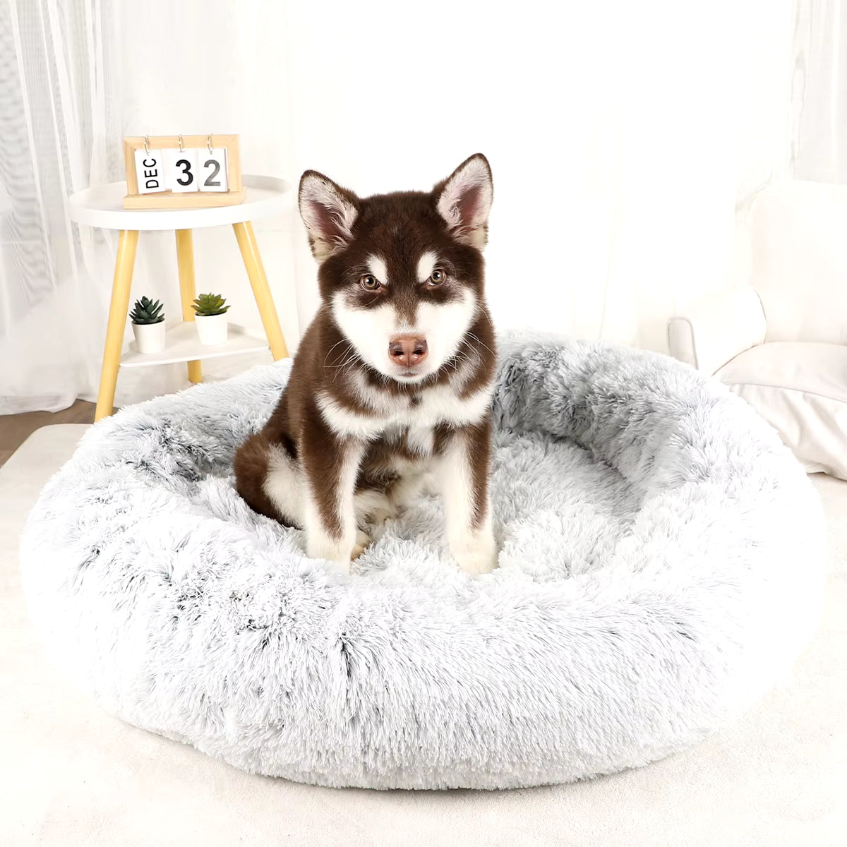 Plush Dog Bed Large Beds for Dogs Washable Medium Small Basket Accessorys Pet Furniture Fluffy Sofa Puppy Kennel Accessories Mat